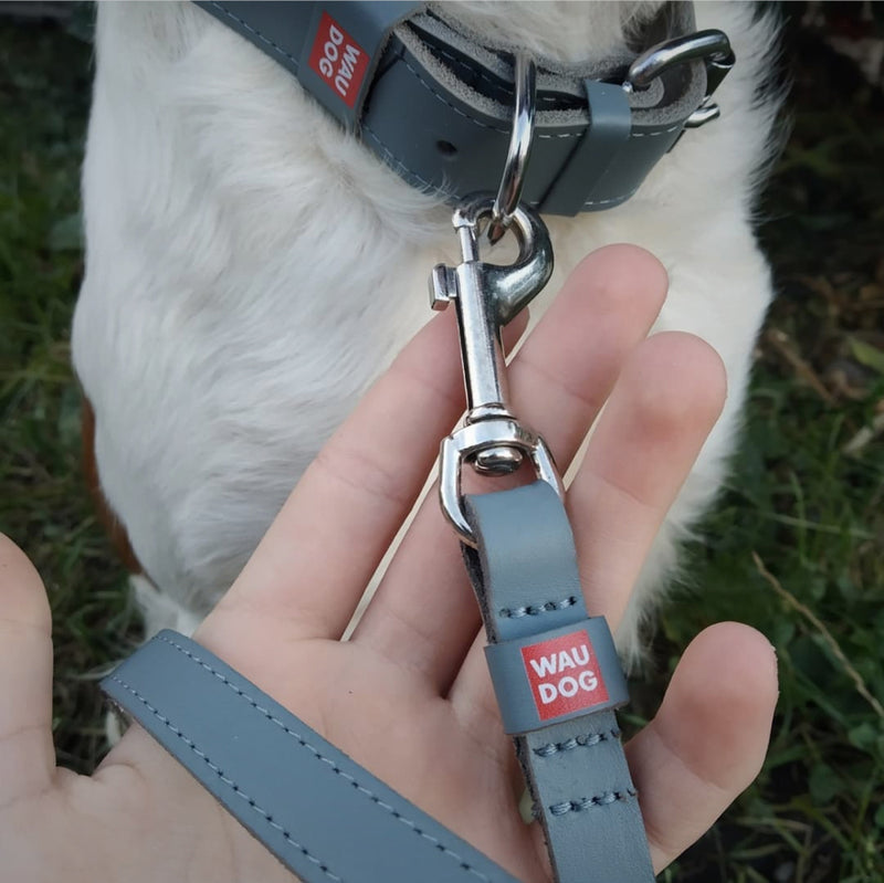 Classic leather dog leash