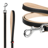 Heavenly soft leather dog leash