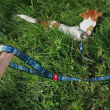 Nylon leash with a unique design for dogs