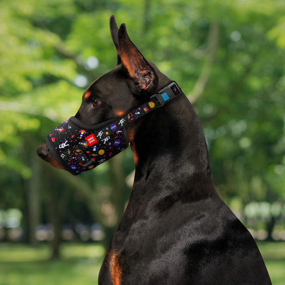 Nylon muzzle with a unique design for dogs