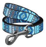 Nylon leash with a unique design for dogs