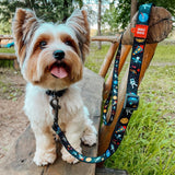 Nylon leash with a unique design for dogs