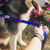 Nylon leash with a unique design for dogs