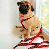 Nylon leash with a unique design for dogs