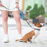 Nylon leash with a unique design for dogs