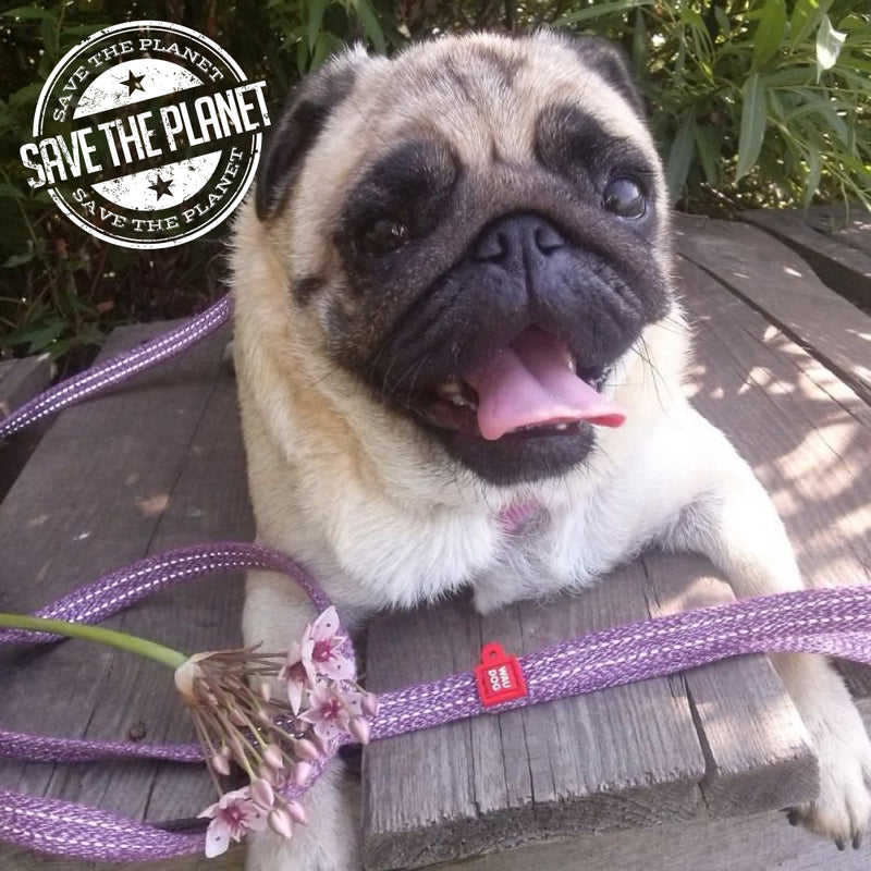 Eco-friendly Re-cotton leash for dogs