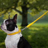 Glamour rolled leather dog leash