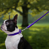 Glamour rolled leather dog leash