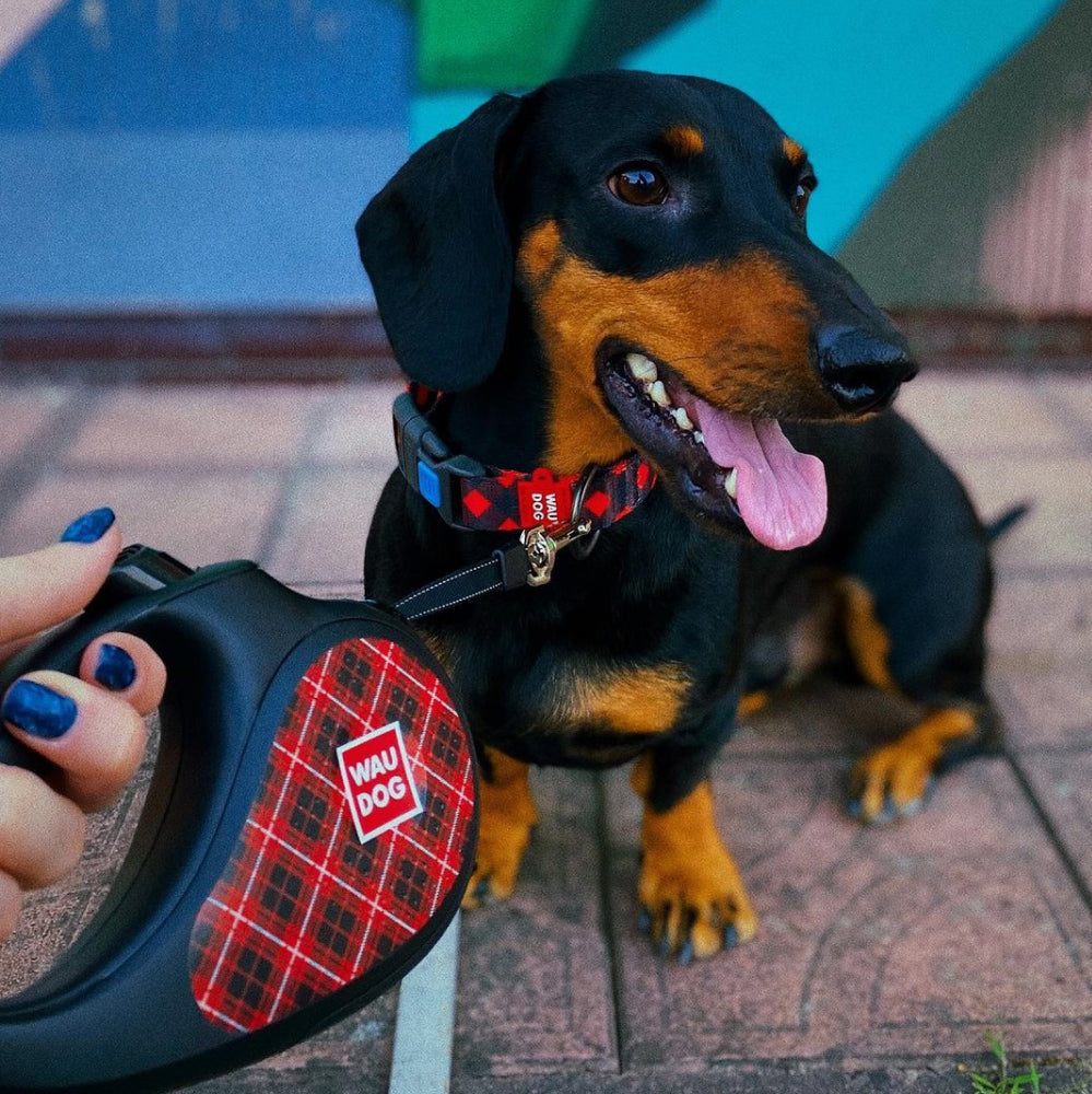Retractable dog leash with a unique design