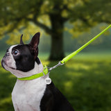 Glamour rolled leather dog leash