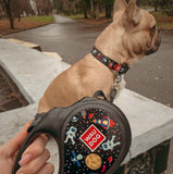 Retractable dog leash with a unique design