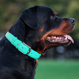 Glamour leather dog collar