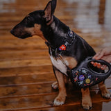 Retractable dog leash with a unique design
