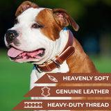 Heavenly soft leather collar for dogs