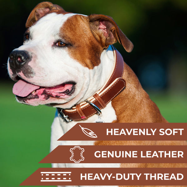  Thankspaw Leather Dog Collar Soft & Durable Strong