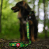 Nylon leash with a unique design for dogs