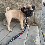 Nylon leash with a unique design for dogs