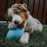Extremely durable and safe football dog toy