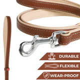 Heavenly soft leather dog leash