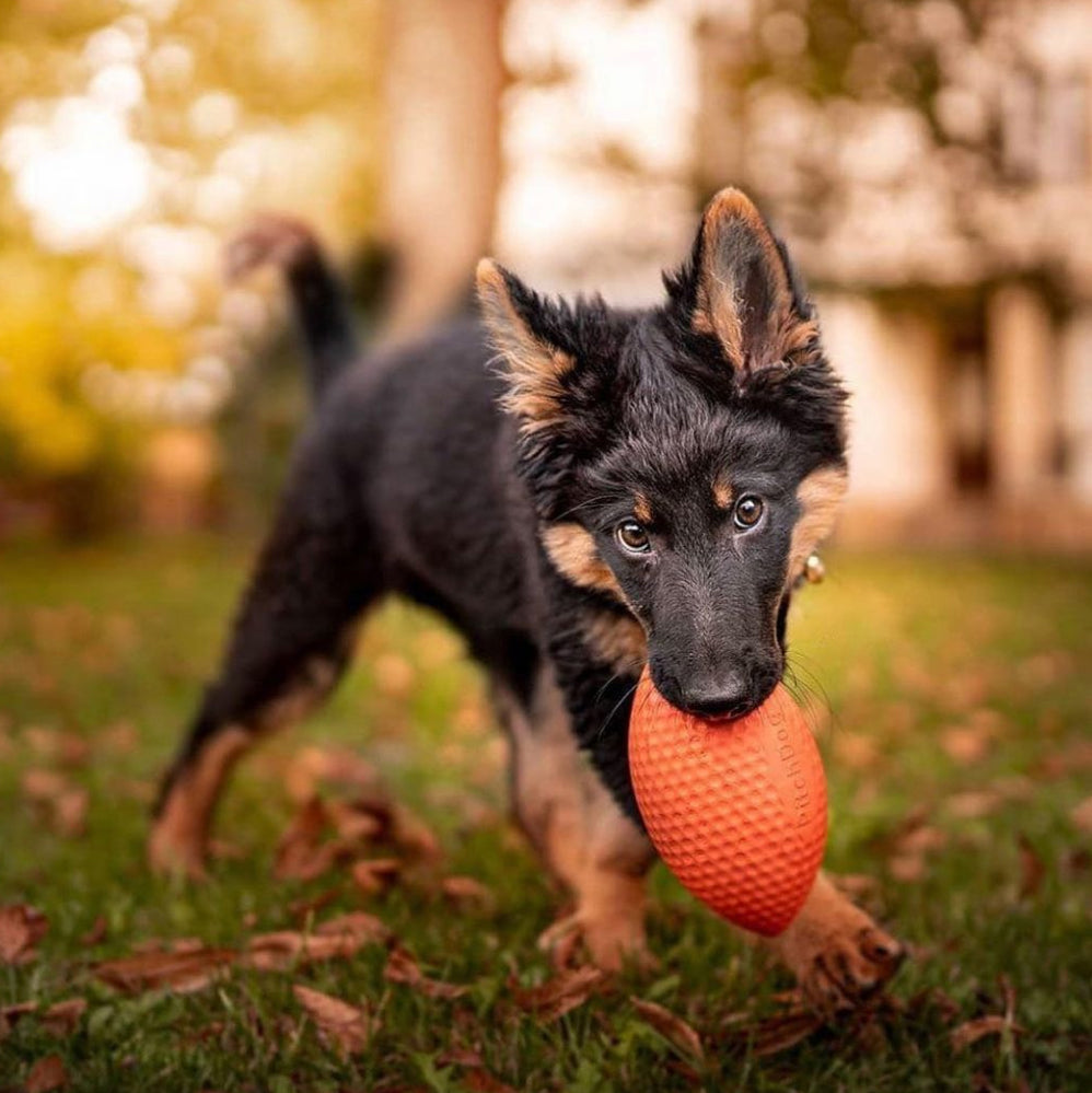 Extremely durable and safe football dog toy