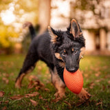 Extremely durable and safe football dog toy