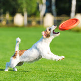 Lightweight and flexible flying disk for dogs