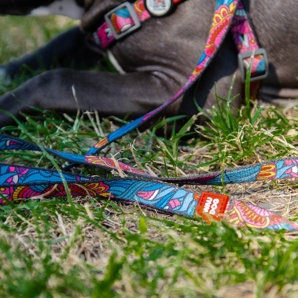 Nylon leash with a unique design for dogs