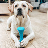 Safe and durable barbell-shaped dog toy