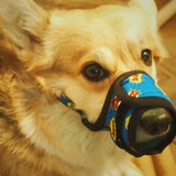 Nylon muzzle with a unique design for dogs