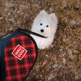 Retractable dog leash with a unique design