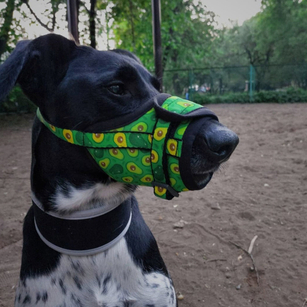 Nylon muzzle with a unique design for dogs
