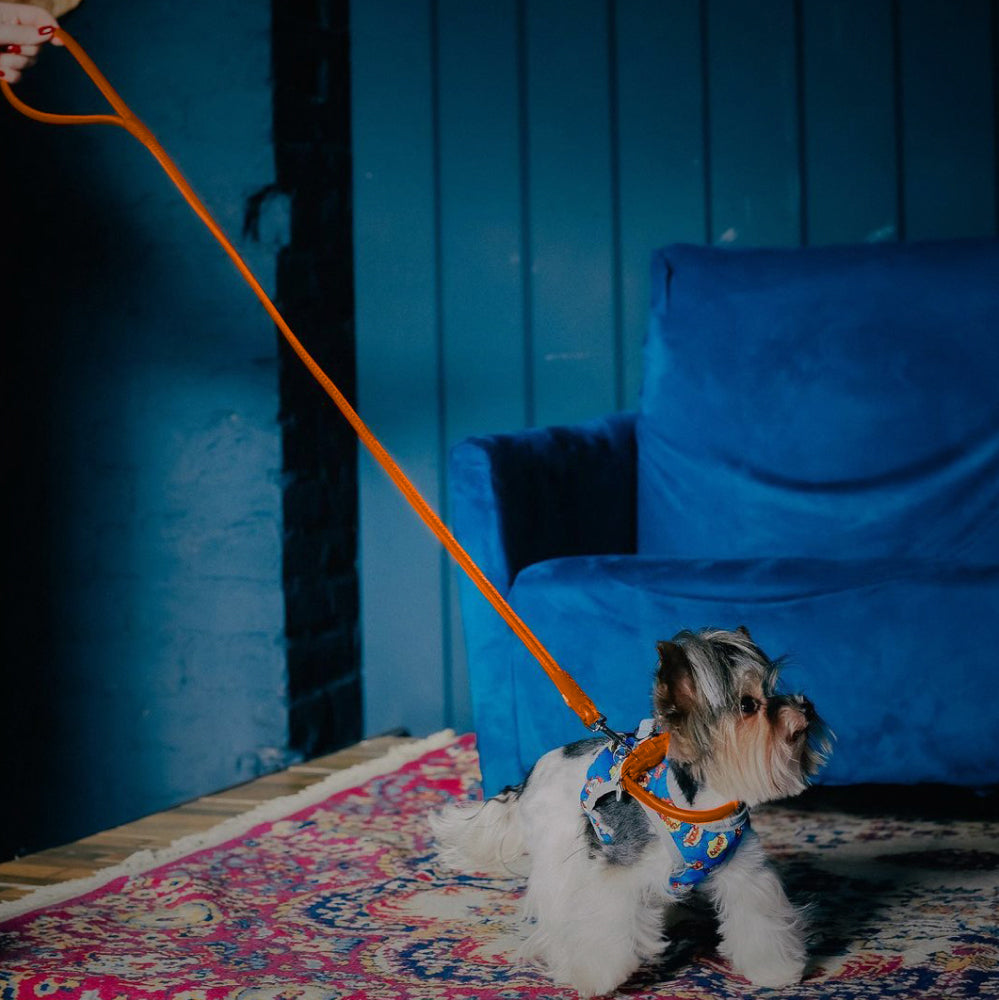 Glamour rolled leather dog leash