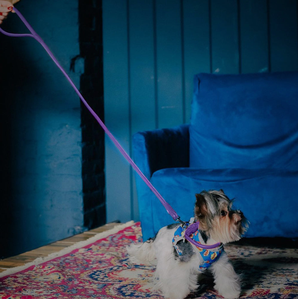 Glamour rolled leather dog leash