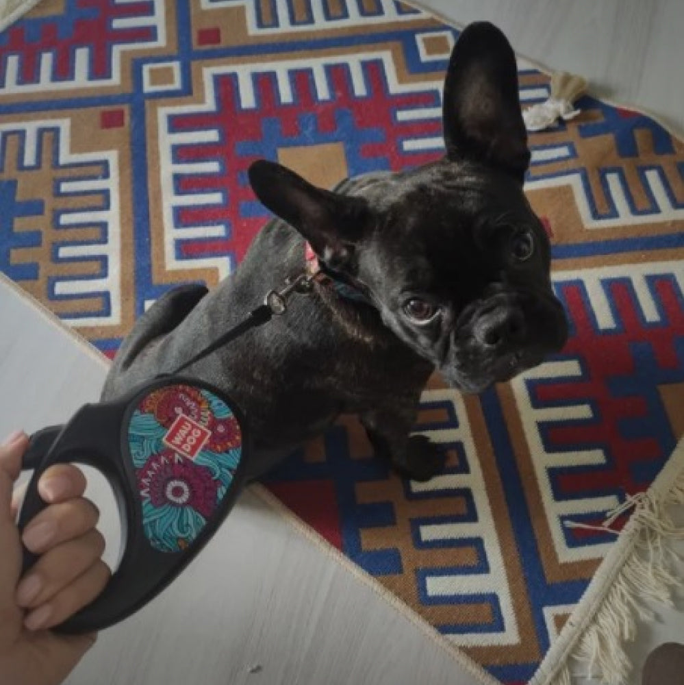 Retractable dog leash with a unique design