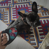 Retractable dog leash with a unique design