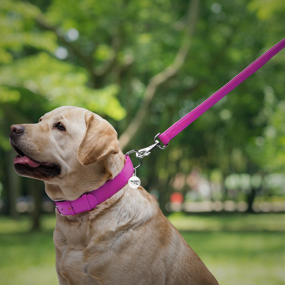 Glamour leather leash for dogs