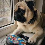 Retractable dog leash with a unique design