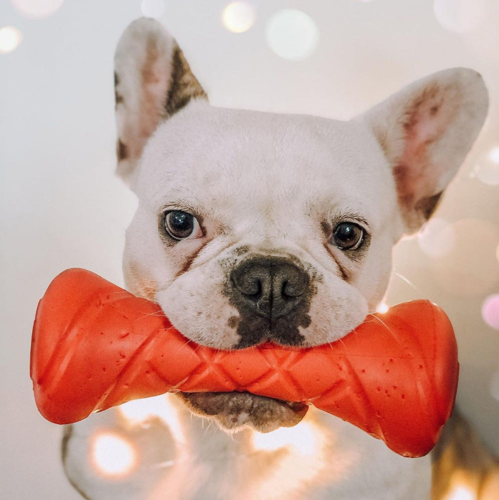 Safe and durable barbell-shaped dog toy