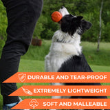 Safe and durable barbell-shaped dog toy