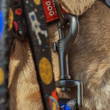 Nylon leash with a unique design for dogs