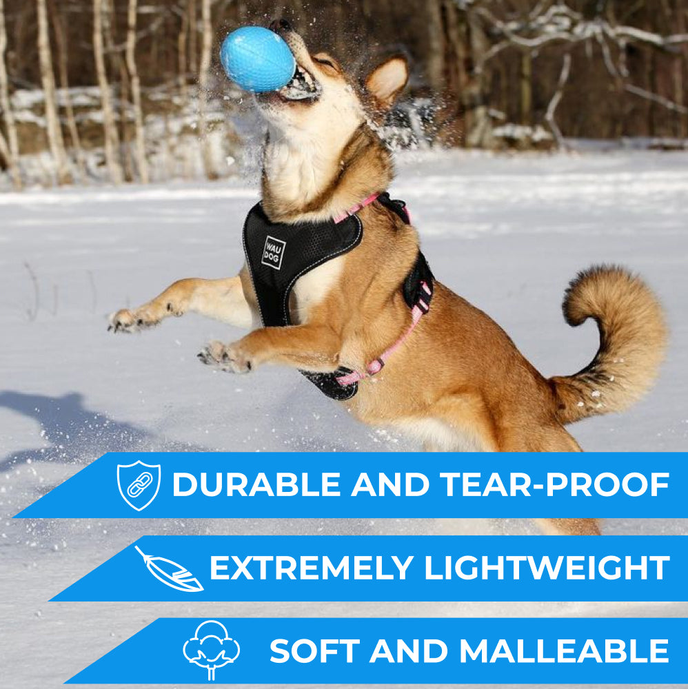 Extremely durable and safe football dog toy