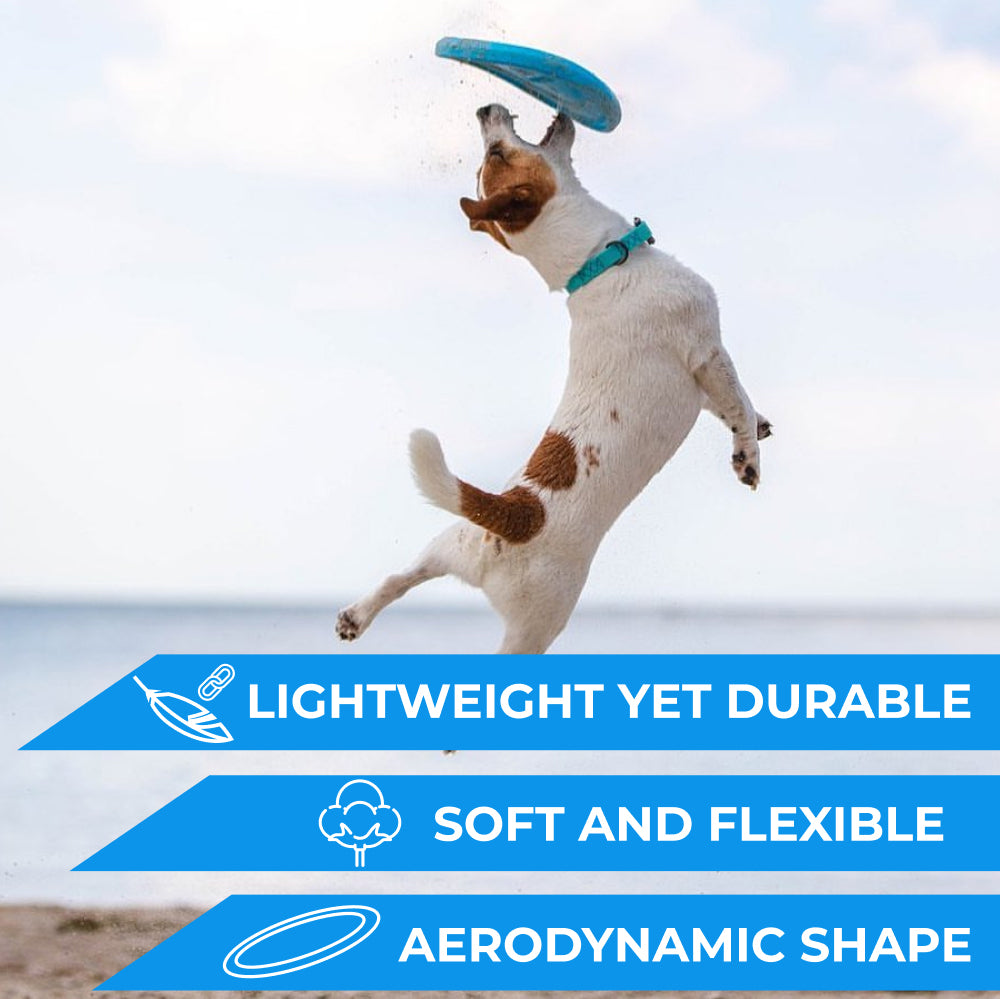 Lightweight and flexible flying disk for dogs