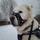 Nylon muzzle with a unique design for dogs