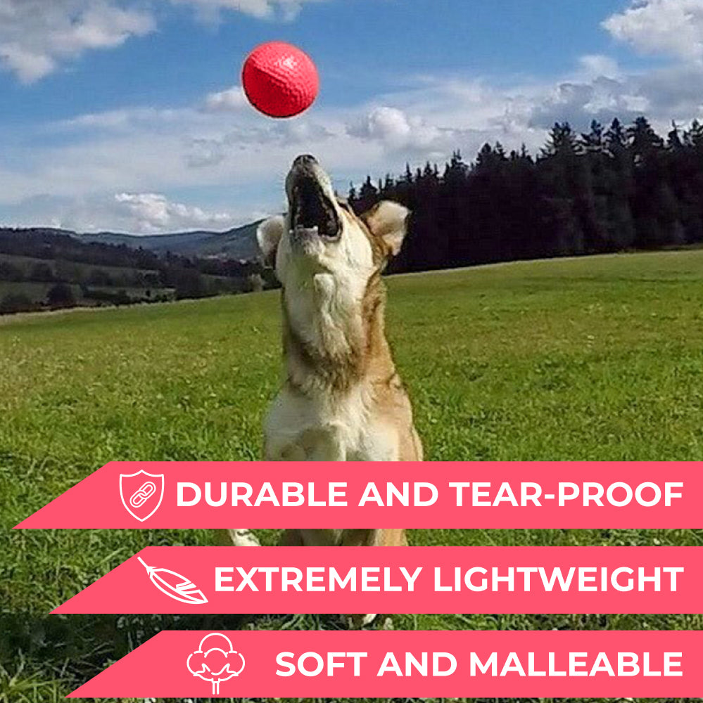 Extremely durable and safe football dog toy