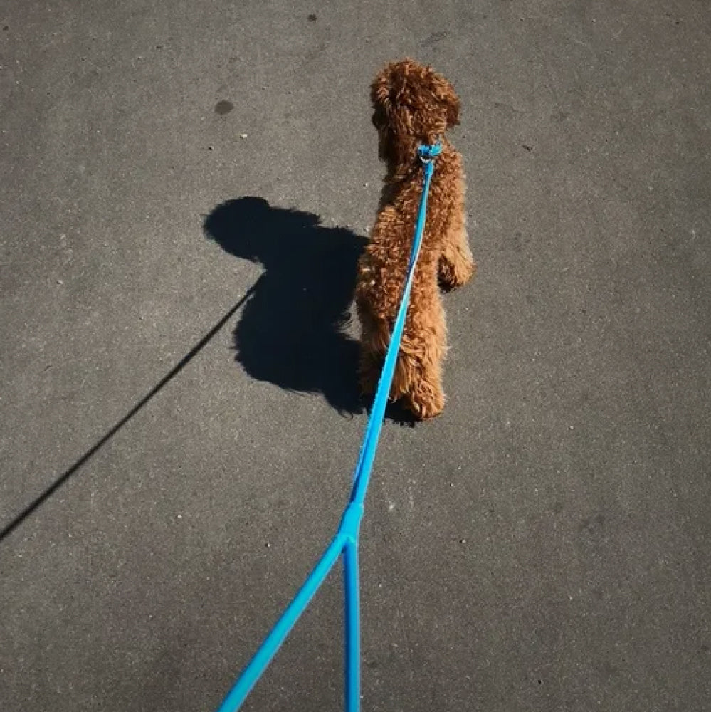Glamour rolled leather dog leash
