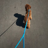 Glamour rolled leather dog leash