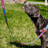 Nylon leash with a unique design for dogs