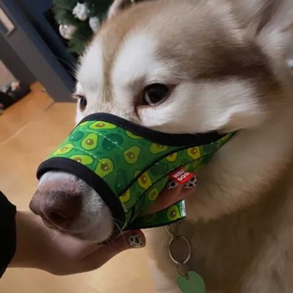 Nylon muzzle with a unique design for dogs