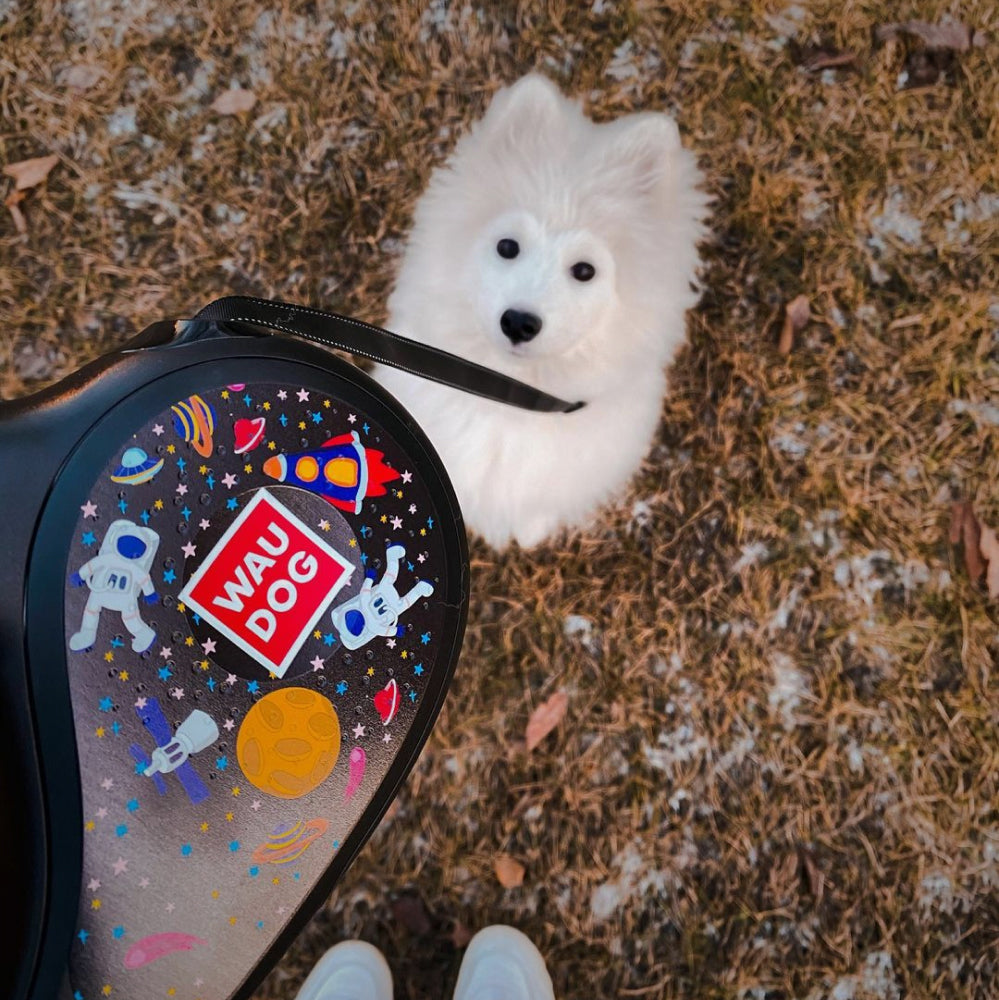 Retractable dog leash with a unique design