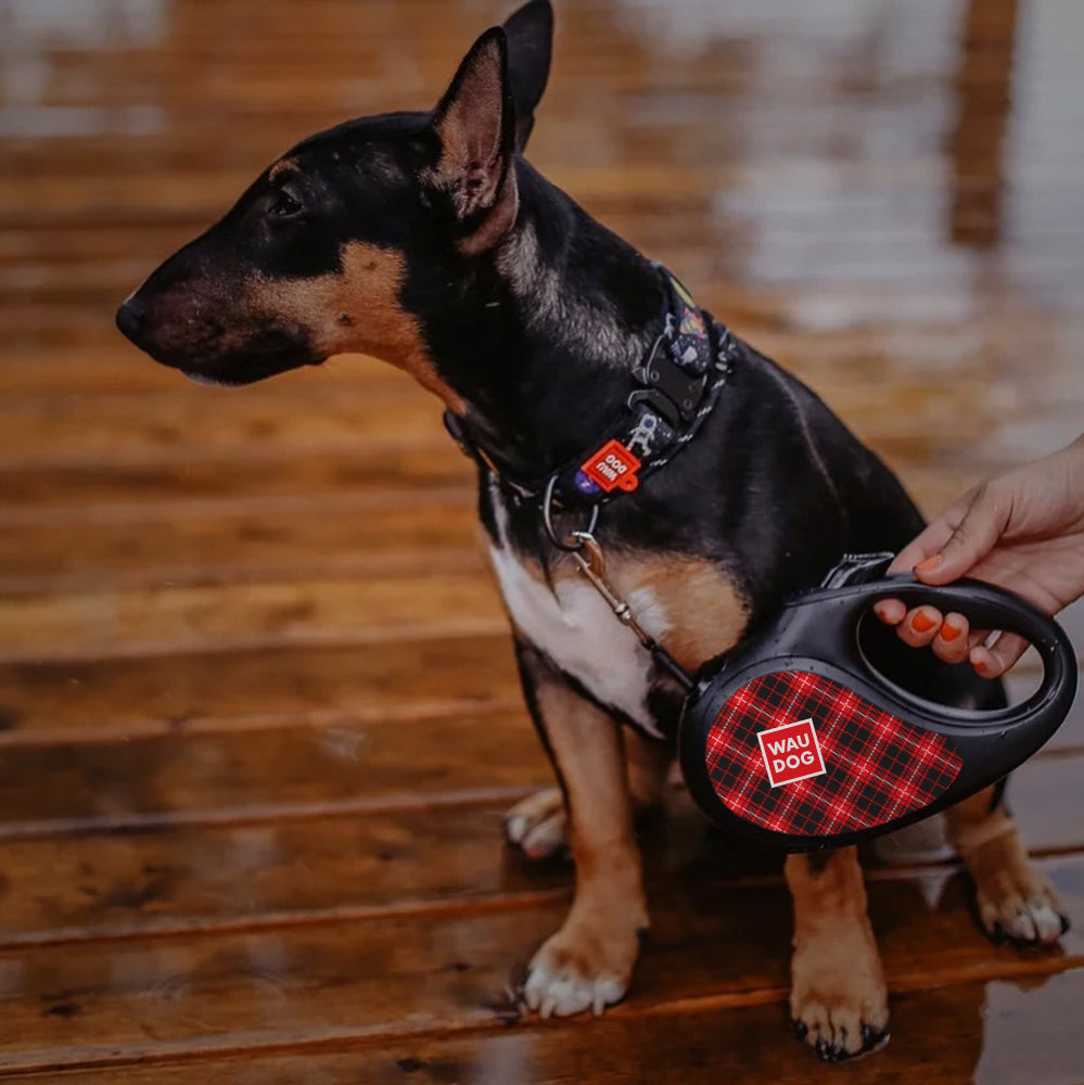 Retractable dog leash with a unique design